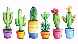 多彩盆栽仙人掌插画