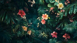 热带花卉绿植美丽景致