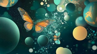梦幻蝴蝶与多彩球体世界