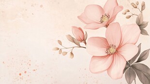 粉色花卉插画 淡雅背景