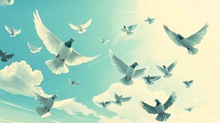 天空中群鸽翱翔的美丽景象