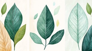 清新手绘风多彩叶片插画