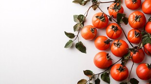 新鲜番茄带枝摆放