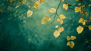 金黄秋叶悬于幽绿背景