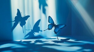 蓝调光影下的灵动蝴蝶