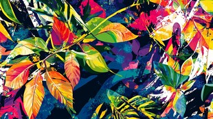 缤纷多彩的抽象植物图案