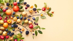 多彩浆果与枝叶的美妙组合