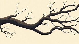 枯树枝条 简约艺术画面