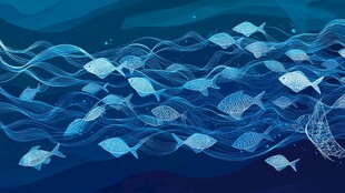 海洋中游动的群鱼景象