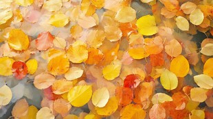 秋日水面漂浮多彩落叶