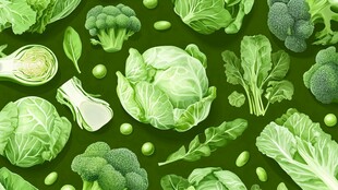 绿色蔬菜大集合