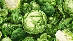 绿叶蔬菜大集合