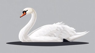 优雅白鹅插画图