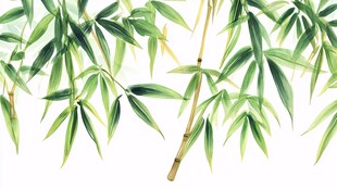 清新水墨风绿竹枝叶图