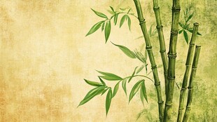 复古风墨竹插画背景图