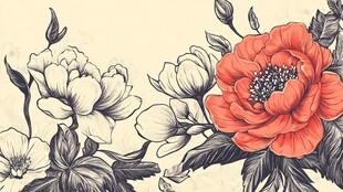 复古花卉插画 艳丽红牡丹