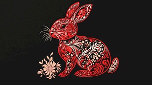 红色花纹兔子插画图案
