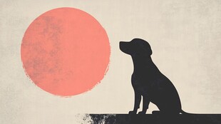 狗望红日剪影图