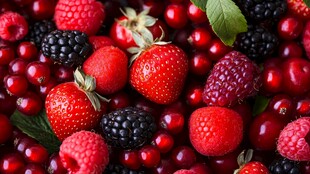 多彩浆果大集合