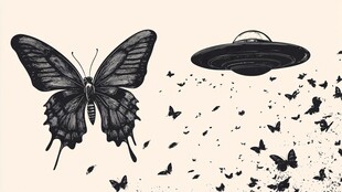 蝴蝶与飞碟的奇幻画面