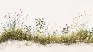 手绘草地花卉植物景观