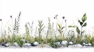 清新手绘草地植物景观图