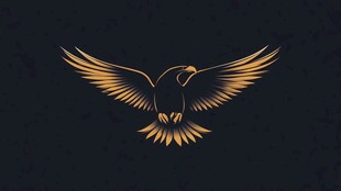 金色飞鹰标志设计