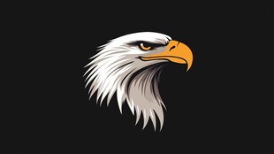 威严白头鹰头像