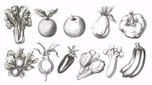 手绘蔬菜水果素描集合