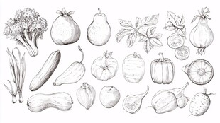 手绘蔬菜水果线稿集合