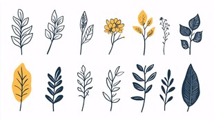 手绘植物叶片花朵元素集