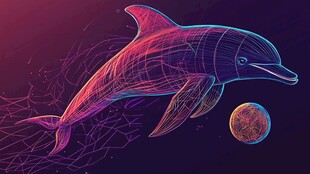 梦幻线条海豚与星球