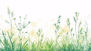 清新手绘风草地花卉图景