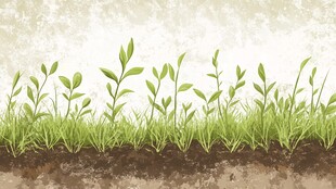 嫩绿小草从土壤中蓬勃生长