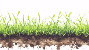 手绘清新草地与土壤元素