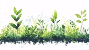 水彩风清新绿植植物景观