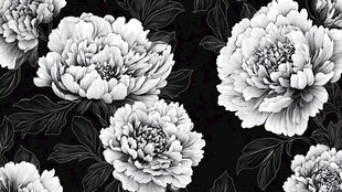 黑白牡丹花卉无缝图案