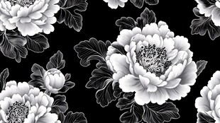 黑白牡丹花卉图案纹理