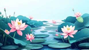 夏日荷塘美景