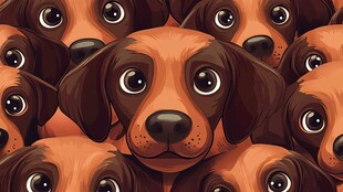 一群萌犬的可爱大集合