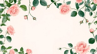 粉色玫瑰花卉边框背景图