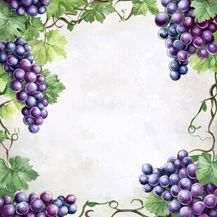 葡萄藤蔓边框装饰插画