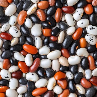 多彩豆子大集合