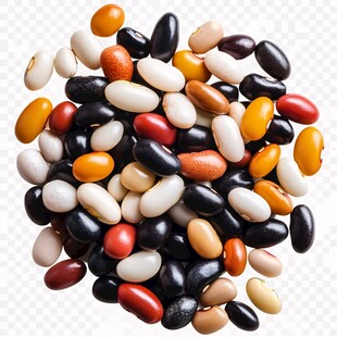 多彩豆子集合