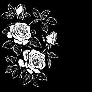 黑白玫瑰花卉图案设计