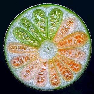 切开的多彩瓜类横截面