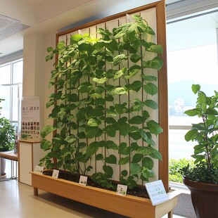 室内垂直绿植墙景观展示