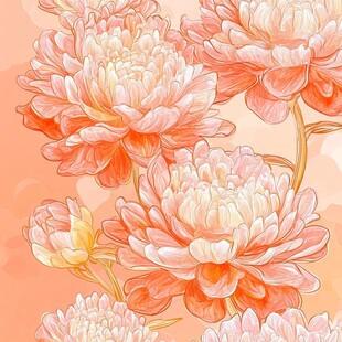 粉色牡丹花卉插画图案