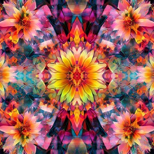 绚丽花卉对称抽象图案