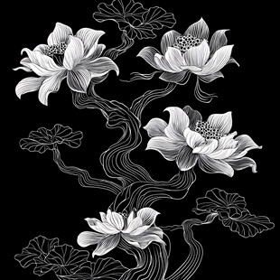 黑白水墨风莲花图案